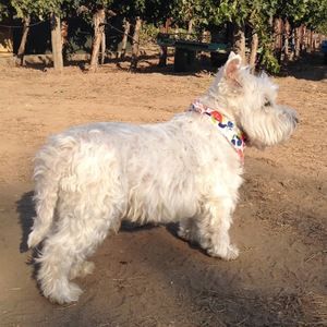 Meet your Posher, Chloe